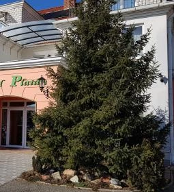 Hotel Platán étterme