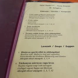 Hotel Platán étterme Debrecen - Étlap/itallap
