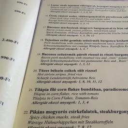 Hotel Platán étterme Debrecen - Étlap/itallap
