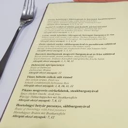 Platán Hotel Debrecen Debrecen - Vendéglátás