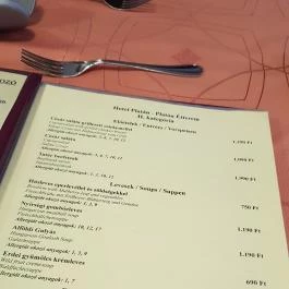 Platán Hotel Debrecen Debrecen - Környék