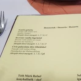 Platán Hotel Debrecen Debrecen - Vendéglátás