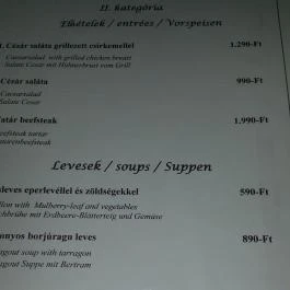 Hotel Platán étterme Debrecen - Étlap/itallap