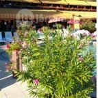 Hotel Silvanus Panoráma Étterem Visegrád - Külső kép