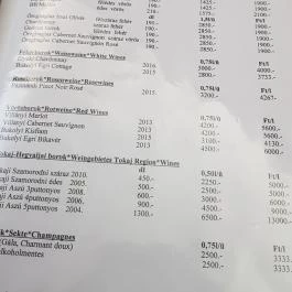 Hotel Nagyerdő Étterem Debrecen - Étlap/itallap