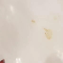 Hotel Nagyerdő Étterem Debrecen - Egyéb