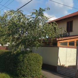 Hüse Vendéglő Debrecen - Külső kép