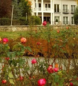 Duna Relax & Event Hotel étterme