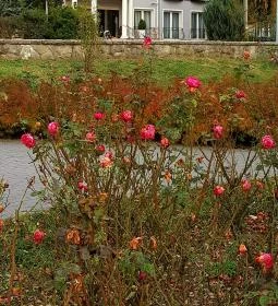 Duna Relax & Event Hotel étterme