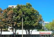 Kisgömböc Ételbár Debrecen