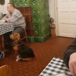 Látóképi Csárda Debrecen - Belső