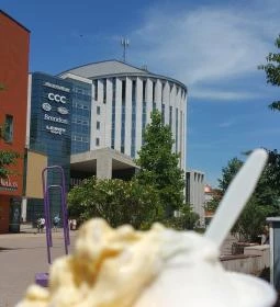 Levendula Kézműves Fagylaltozó