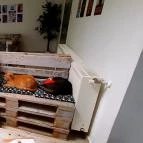 Macskávézó Debrecen - Egyéb