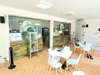 Macskávézó Debrecen