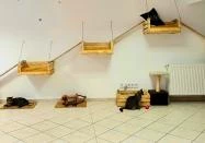 Macskávézó Debrecen