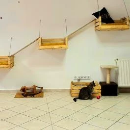 Macskávézó Debrecen - Egyéb