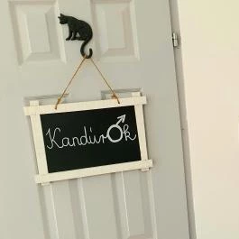 Macskávézó Debrecen - Mosdó