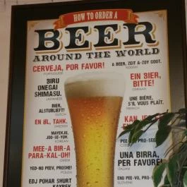 Mátyás Pince Debrecen - Egyéb