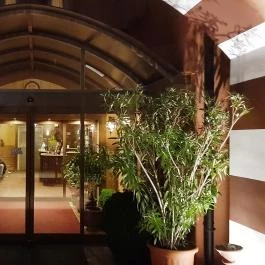 Shiraz Étterem & Dubai Kert Egerszalók - Belső