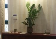 Művész Kávéház Békéscsaba