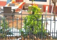 Néro Caffe Debrecen