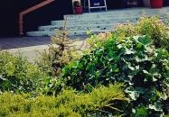 Nevada Étterem & Pizzéria Debrecen