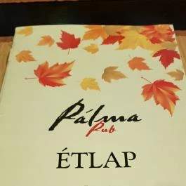 Pálma Étterem Debrecen - Étlap/itallap