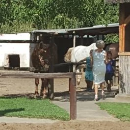 Paripa Csárda Debrecen - Külső kép