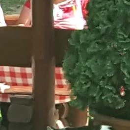 Paripa Csárda Debrecen - Külső kép