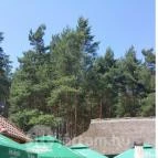 Paripa Csárda Debrecen - Külső kép