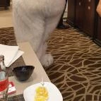 Pinot Noir Étterem Egerszalók - Egyéb