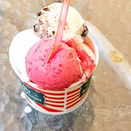 Primavera Fagyizó Debrecen - Étel/ital