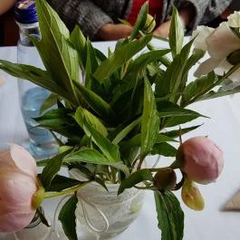 Reskontó Étterem Debrecen - Belső