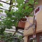 Sándor Vendéglő Debrecen - Külső kép