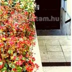 Savoyai Kastélyszálló étterme Ráckeve - Külső kép