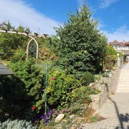 Szent Orbán Kisvendéglő, Velence - Egyéb