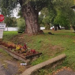 Tiszacsegei Halászcsárda, Tiszacsege - Külső kép