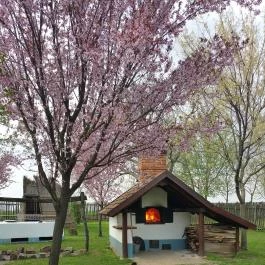 Tuba Tanya Nagyhegyes - Külső kép