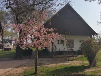 Tuba Tanya Nagyhegyes