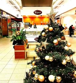 Tutti Gelati Kávézó & Fagyizó Fórum