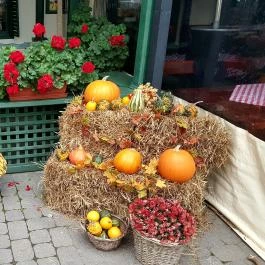 Véndiófa Csárda Bocskaikert - Külső kép