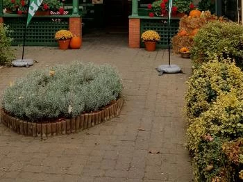 Véndiófa Csárda Bocskaikert