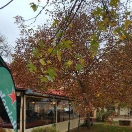 Véndiófa Csárda, Bocskaikert - Külső kép