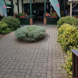 Véndiófa Csárda, Bocskaikert - Külső kép