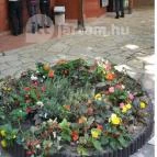 Régi Vigadó Debrecen - Külső kép