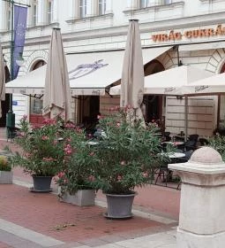 Virág Cukrászda & Kávéház