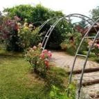 Horváth Kertvendéglő Dorog - Egyéb