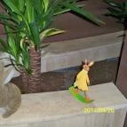 Prémium Hotel Panoráma Siófok - Egyéb