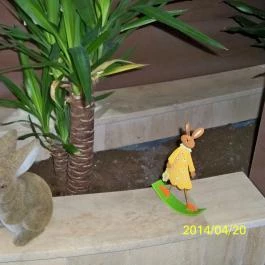 Prémium Hotel Panoráma, Siófok - Egyéb