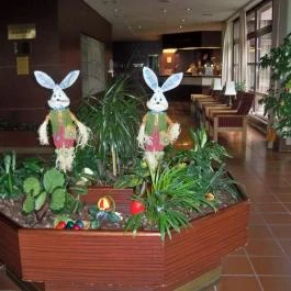 Ensana Thermal Sárvár Sárvár - Belső